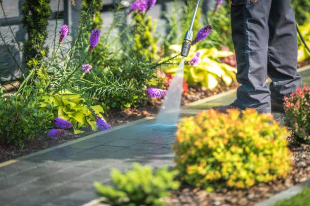 Best Sidewalk and Walkway Cleaning  in Forked River, NJ